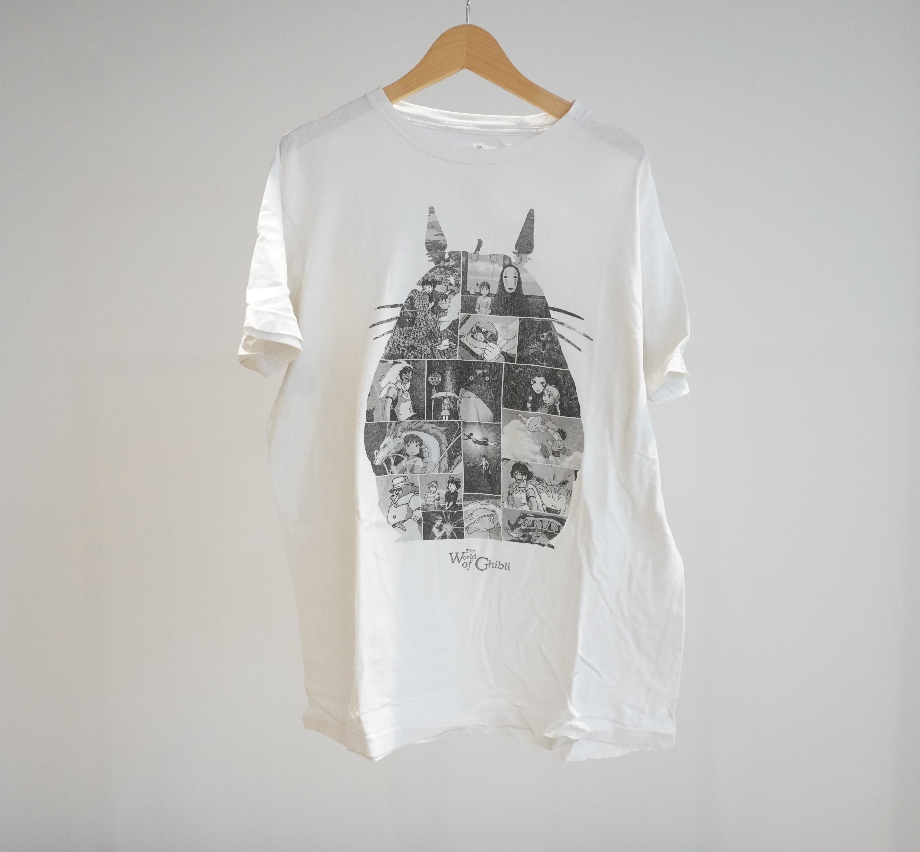 The World of Ghibli