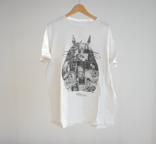 The World of Ghibli