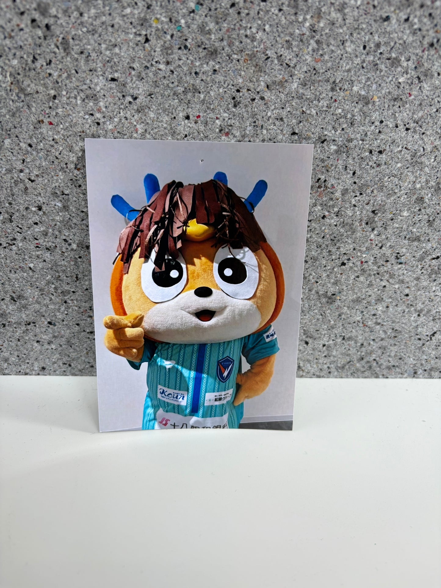 チャリティ写真3(ヴィヴィくんとへいわてん)/L版