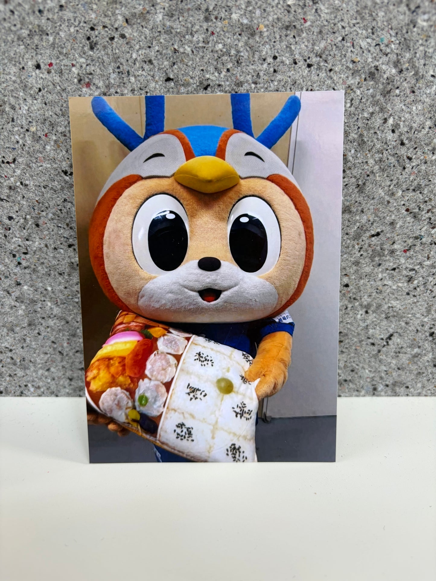 チャリティ写真11(ヴィヴィくんとへいわてん)/L版