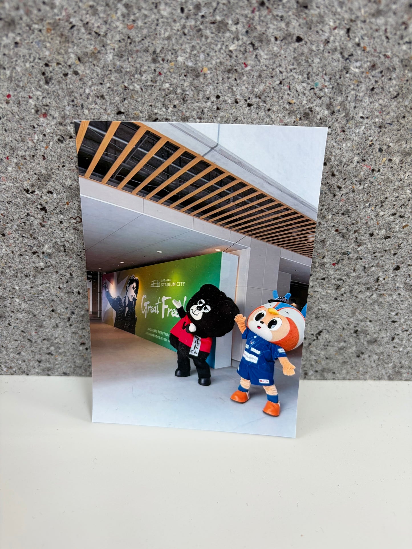 チャリティ写真17(ヴィヴィくんとへいわてん)/L版