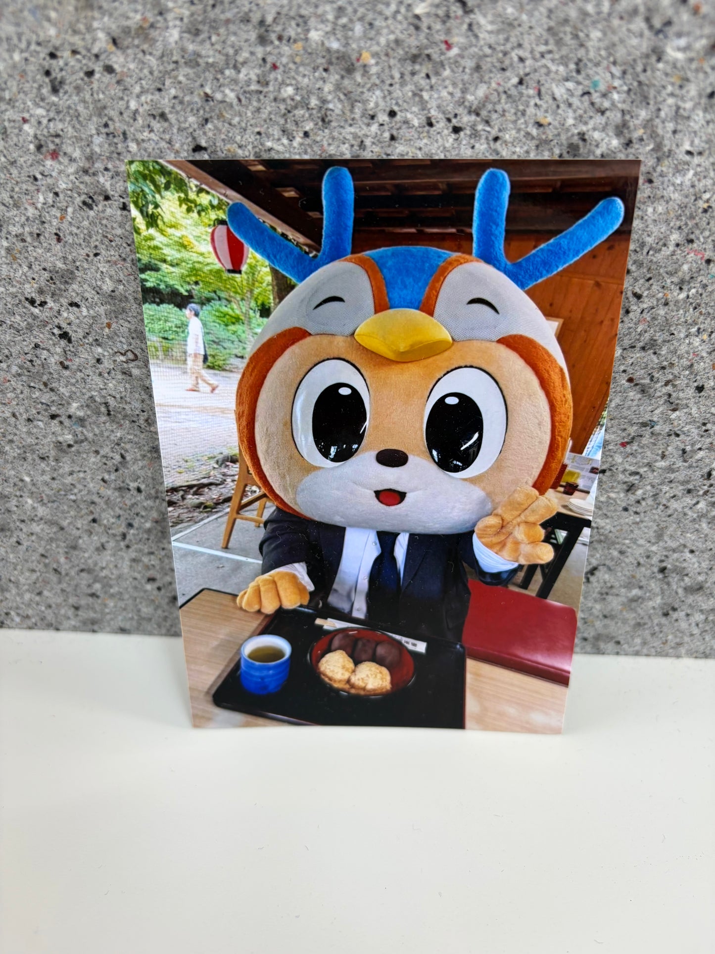 チャリティ写真23(ヴィヴィくんとへいわてん)/L版