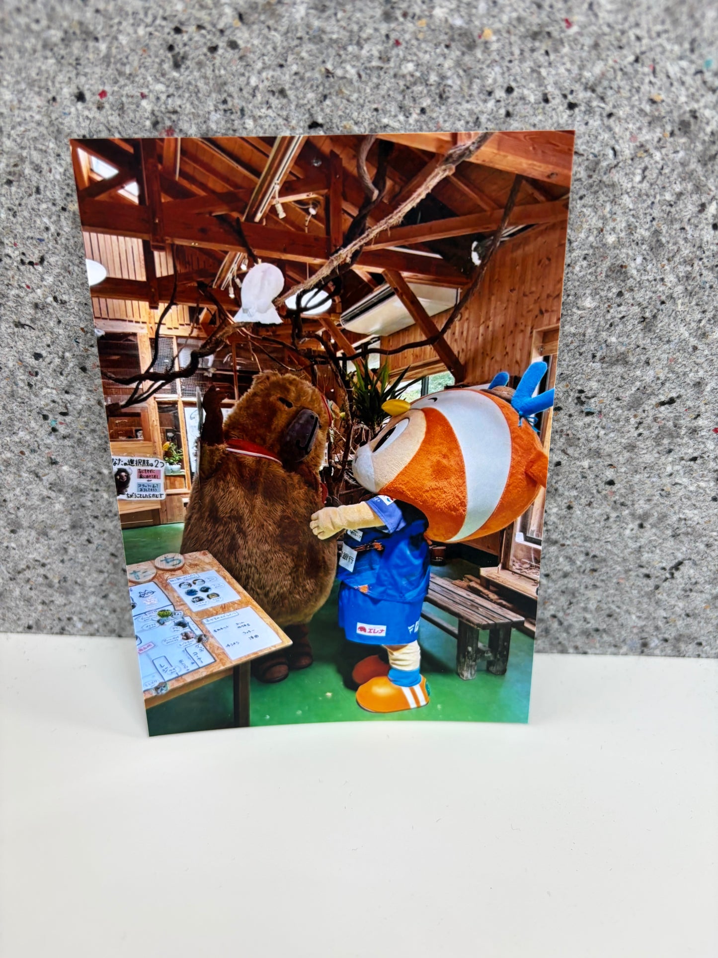 チャリティ写真34(ヴィヴィくんとへいわてん)/L版