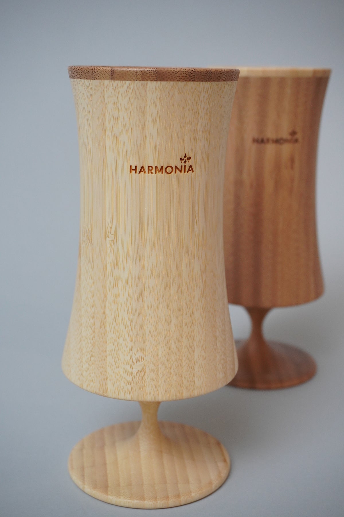 ビアベッセル ナイトL<ペア>【HARMONIAロゴ入り】
