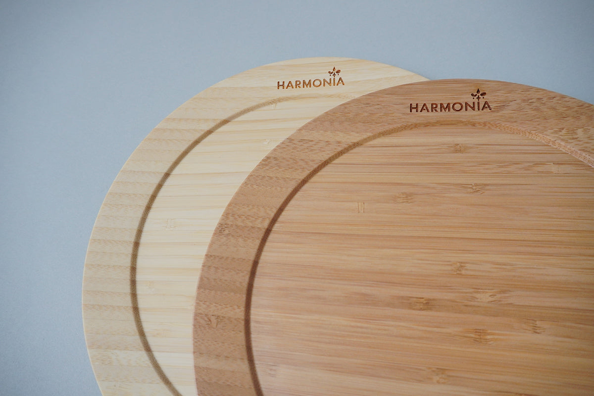 ディナープレートL<ペア>【HARMONIAロゴ入り】