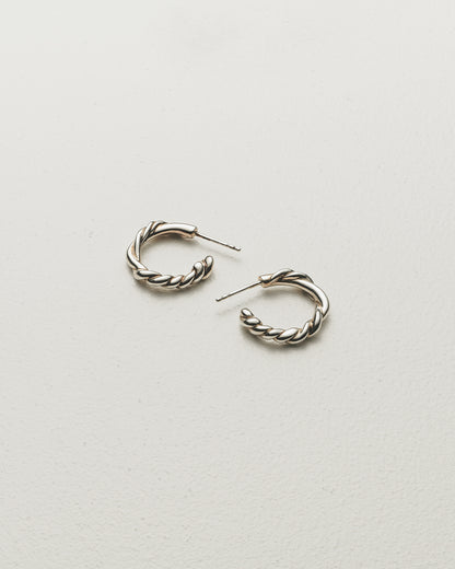 Roots Earrings / Silver