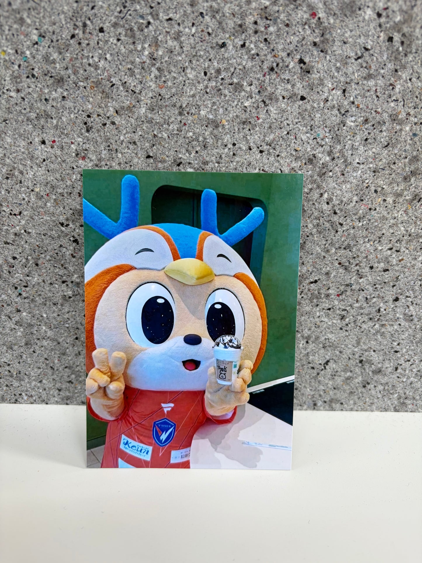 チャリティ写真７（ヴィヴィくんとへいわてん）／L版