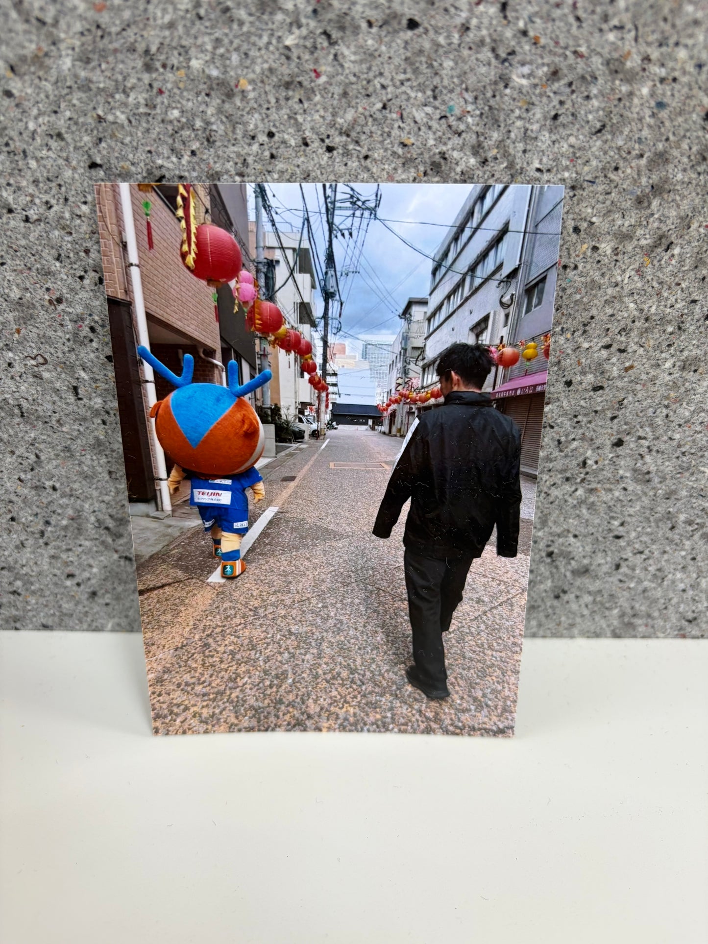 チャリティ写真１９（ヴィヴィくんとへいわてん）／L版
