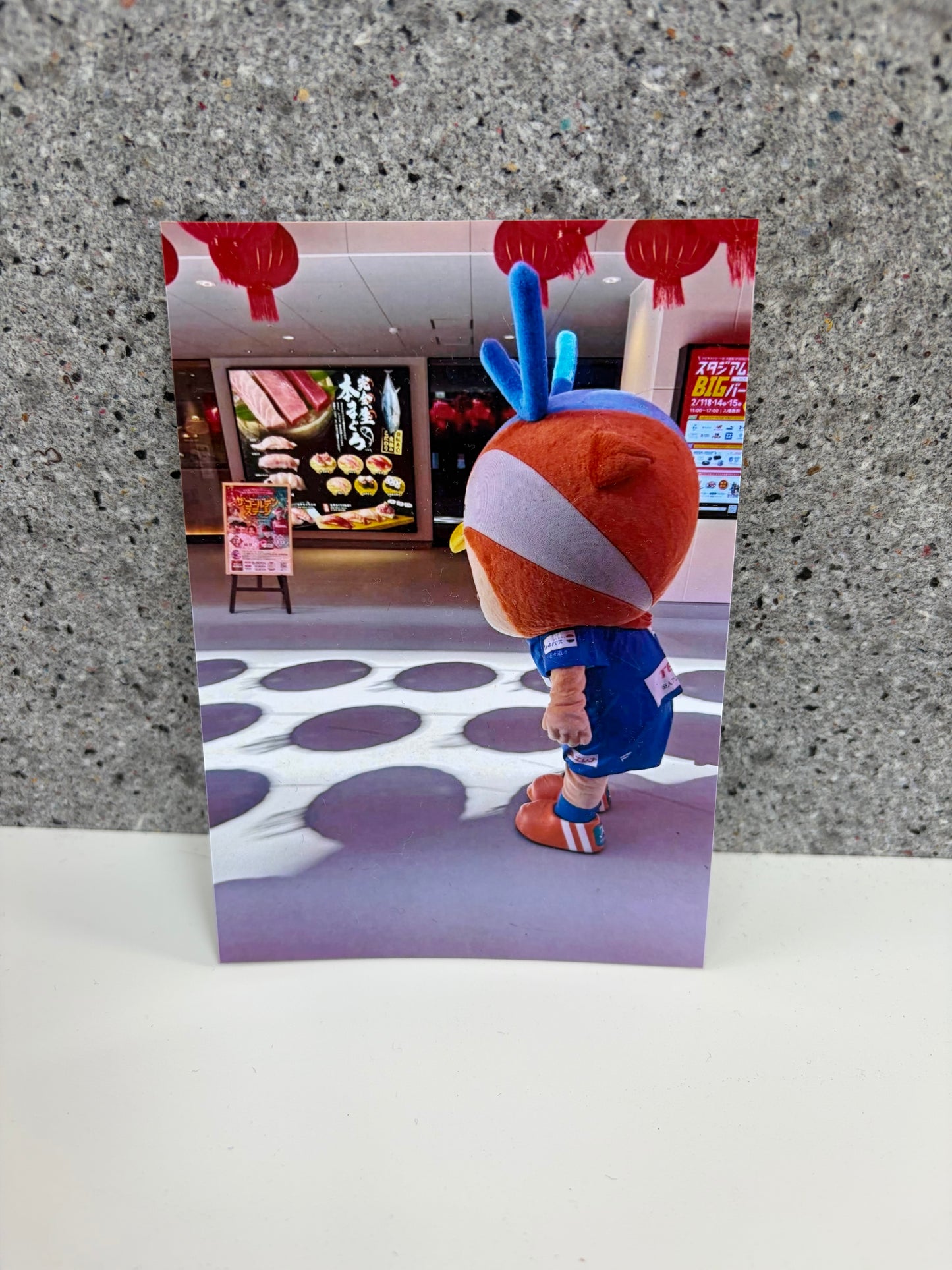 チャリティ写真２０（ヴィヴィくんとへいわてん）／L版