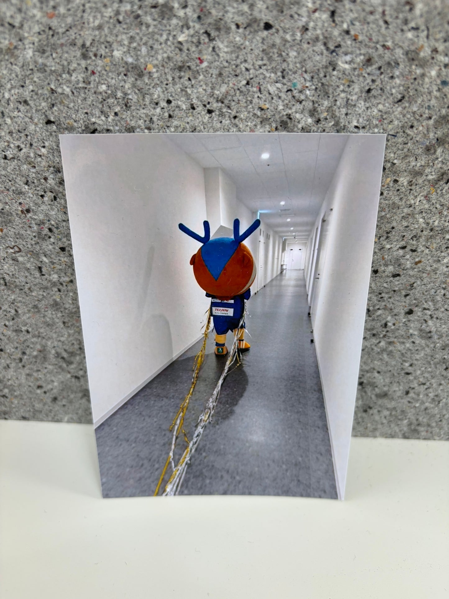 チャリティ写真２5（ヴィヴィくんとへいわてん）／L版