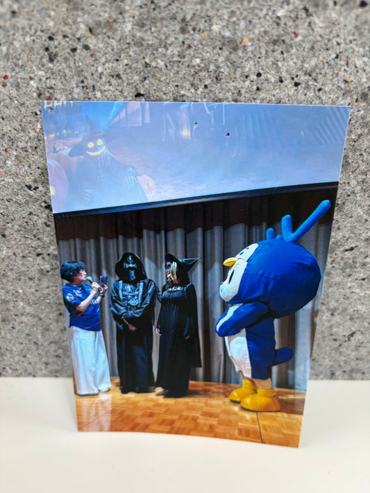 チャリティ写真３１（ヴィヴィくんとへいわてん）／L版