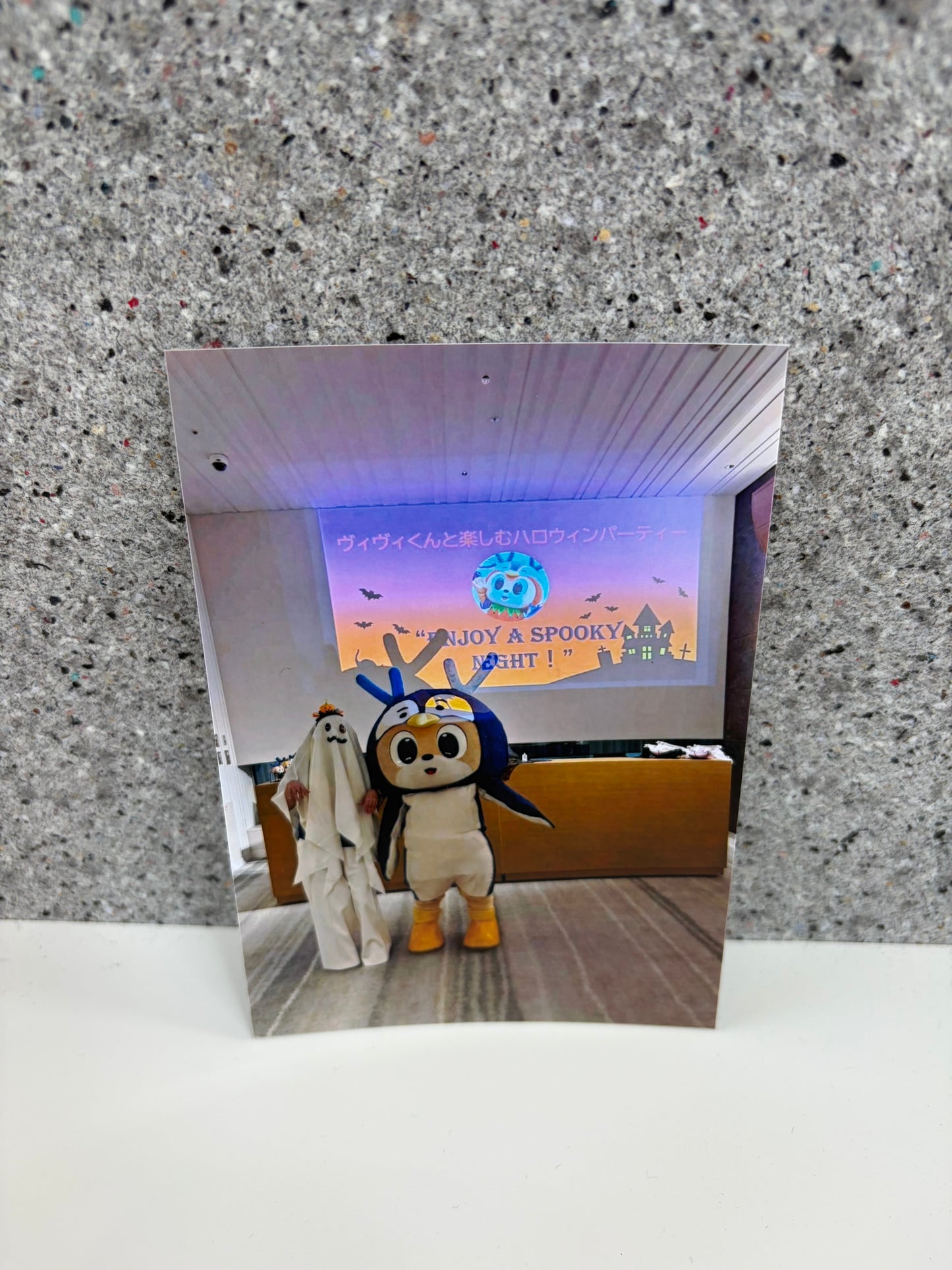 チャリティ写真３２（ヴィヴィくんとへいわてん）／L版